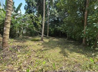 Residential Land for Sale in Thrissur, Kunnamkulam, Kechery