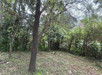 Residential Land for Sale in Thrissur, Kunnamkulam, Kechery