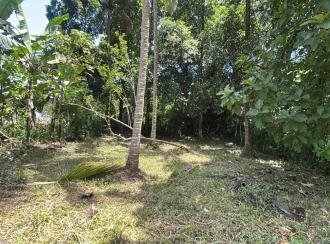 Residential Land for Sale in Thrissur, Kunnamkulam, Kechery
