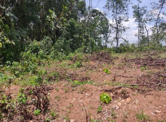 Residential Land for Sale in Kollam, Kottarakkara, Thrikkannamangal