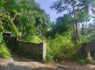 Residential Land for SaleTrivandrum, Thiruvananthapuram, Vattiyoorkavu