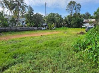 Residential Land for SaleKottayam, Kottayam town, Puthenangady