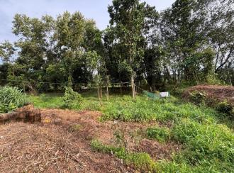 Residential Land for Sale