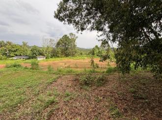 Residential Land for Sale in Malappuram, Nilambur, Wandoor