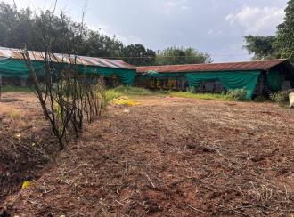 Residential Land for Sale in Malappuram, Nilambur, Wandoor