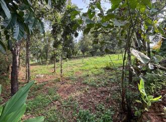 Residential Land for Sale in Malappuram, Nilambur, Wandoor