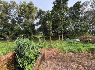 Residential Land for Sale in Malappuram, Nilambur, Wandoor