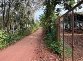 Residential Land for Sale in Malappuram, Nilambur, Wandoor
