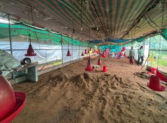 Residential Land for Sale in Malappuram, Nilambur, Wandoor