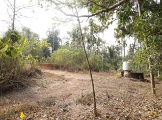 Residential Land for SaleKannur, Kuthuparamba, Kuthuparamba