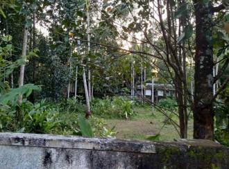 Residential Land for Sale in Ernakulam, Paravur, Chendamangalam