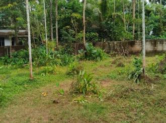Residential Land for Sale in Ernakulam, Paravur, Chendamangalam