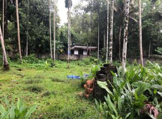 Residential Land for Sale in Ernakulam, Paravur, Chendamangalam