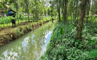 Residential Land for Sale in Idukki, Thodupuzha, Vazhithala