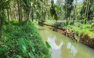 Residential Land for Sale in Idukki, Thodupuzha, Vazhithala