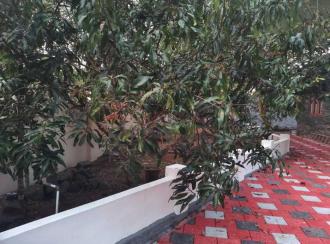 Residential House Villa for Sale in Ernakulam, Mulanthuruthy, Arakkunnam