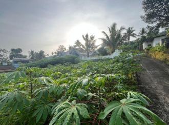 Commercial Land for Sale in Kottayam, Changanassery, Nedumkunnam