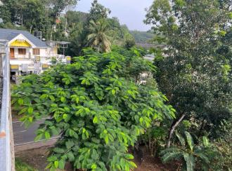 Commercial Land for Sale in Kottayam, Changanassery, Nedumkunnam