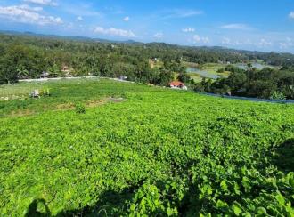 Commercial Land for Sale in Kottayam, Kottayam town, Thiruvanchoor