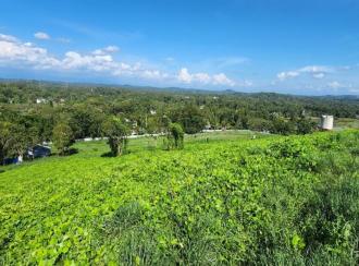 Commercial Land for Sale in Kottayam, Kottayam town, Thiruvanchoor