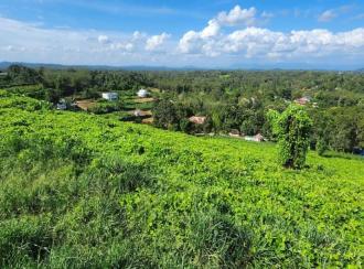 Commercial Land for Sale in Kottayam, Kottayam town, Thiruvanchoor