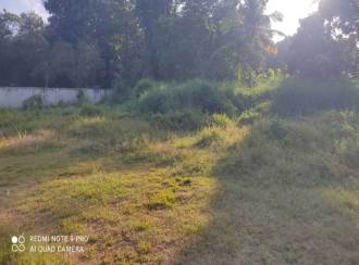 Residential Land for Sale in Kollam, Kollam, Anchalummoodu