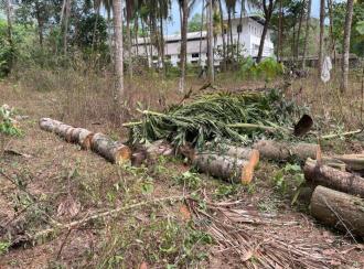 Residential Land for Sale in Thrissur, Kunnamkulam, Karikkad