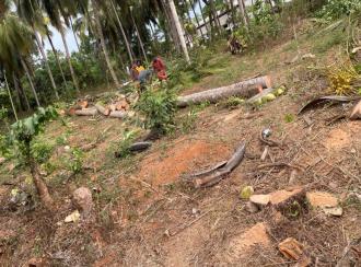 Residential Land for Sale in Thrissur, Kunnamkulam, Karikkad