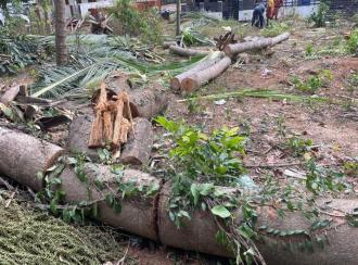 Residential Land for Sale in Thrissur, Kunnamkulam, Karikkad