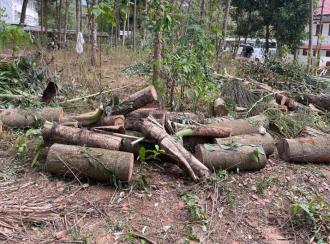 Residential Land for Sale in Thrissur, Kunnamkulam, Karikkad