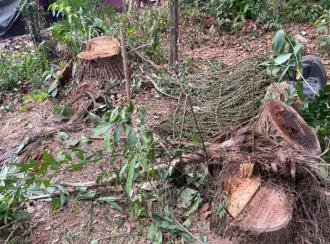 Residential Land for Sale in Thrissur, Kunnamkulam, Karikkad