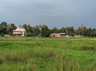 Residential Land for SaleErnakulam, Angamaly, Champannoor