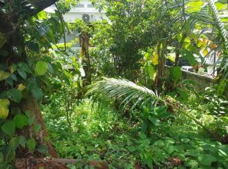 Residential Land for SaleTrivandrum, Vazhayila, Karakulam