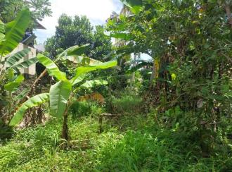 Residential Land for Sale in Trivandrum, Vazhayila, Karakulam