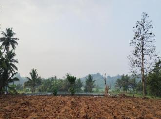Residential Land for SaleErnakulam, Perumbavoor, Kuruppampady