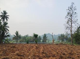Residential Land, Ernakulam