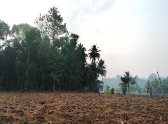 Residential Land for Sale in Ernakulam, Perumbavoor, Kuruppampady