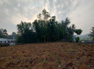Residential Land for Sale in Ernakulam, Perumbavoor, Kuruppampady
