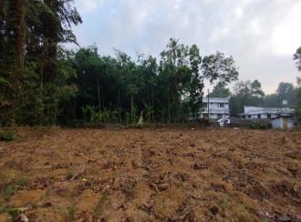Residential Land for Sale in Ernakulam, Perumbavoor, Kuruppampady