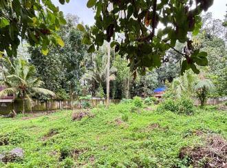 Commercial Land for SaleAlleppey, Mavelikara, Mavelikkara
