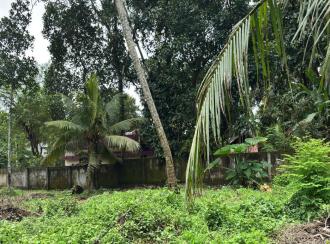 Commercial Land for Sale in Alleppey, Mavelikara, Mavelikkara