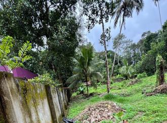Commercial Land for Sale in Alleppey, Mavelikara, Mavelikkara