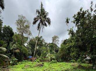 Commercial Land for Sale in Alleppey, Mavelikara, Mavelikkara