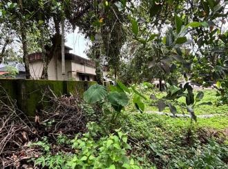 Commercial Land for Sale in Alleppey, Mavelikara, Mavelikkara