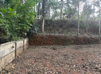 Residential Land for SaleKozhikode, Balussery, Balussery