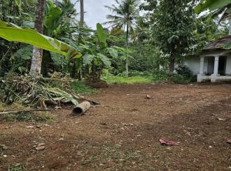 Residential House Villa for Sale in Alleppey, Mavelikara, Kollakadavu