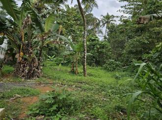 Residential House Villa for Sale in Alleppey, Mavelikara, Kollakadavu