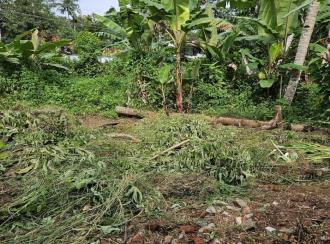 Residential House Villa for Sale in Alleppey, Mavelikara, Kollakadavu