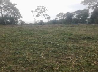 Agricultural Land for SalePathanamthitta, Thiruvalla, Vennikulam