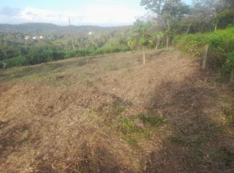 Agricultural Land for Sale in Pathanamthitta, Thiruvalla, Vennikulam